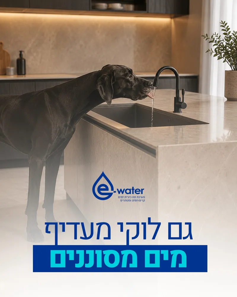 עיצוב קריאייטיב - EWATER