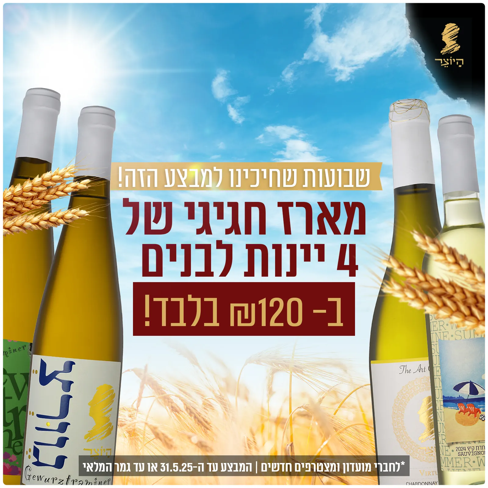 קריאייטיב קמפיין שיצרנו עבור היוצר